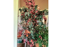 Kunstplanten in pot (2x) - afbeelding 4 van  5