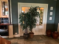 Kunstplanten in pot (2x) - afbeelding 1 van  6