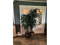 Kunstplanten in pot (2x) - afbeelding 2 van  6