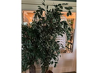 Kunstplanten in pot (2x) - afbeelding 4 van  6