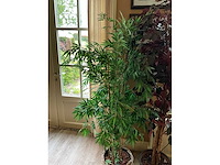Kunstplanten in pot (2x) - afbeelding 1 van  1