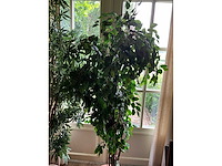 Kunstplanten in pot (2x) - afbeelding 4 van  6