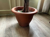 Kunstplanten in pot (2x) - afbeelding 5 van  6