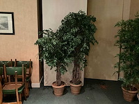 Kunstplanten in pot (2x) - afbeelding 1 van  1