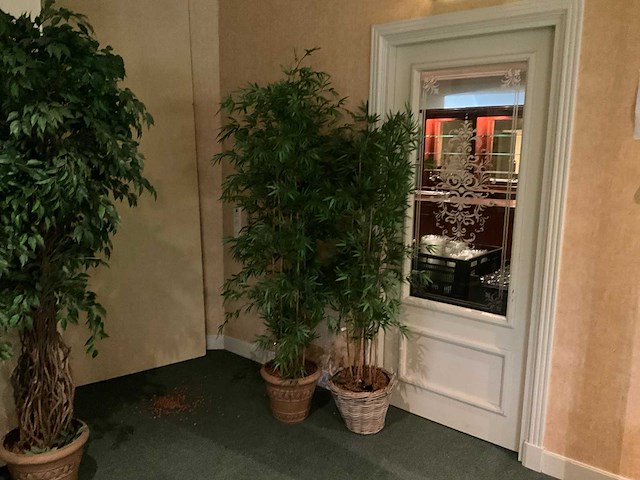 Kunstplanten in pot (2x) - afbeelding 1 van  5