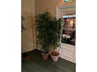 Kunstplanten in pot (2x) - afbeelding 2 van  5
