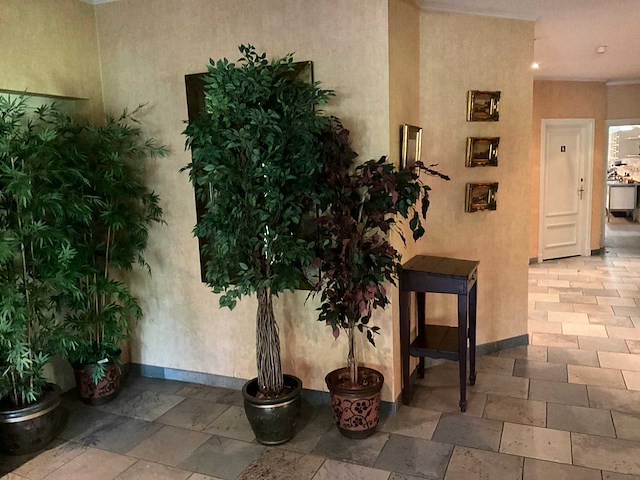 Kunstplanten in pot (2x) - afbeelding 1 van  3