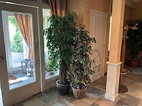 Kunstplanten in pot (2x) - afbeelding 1 van  7