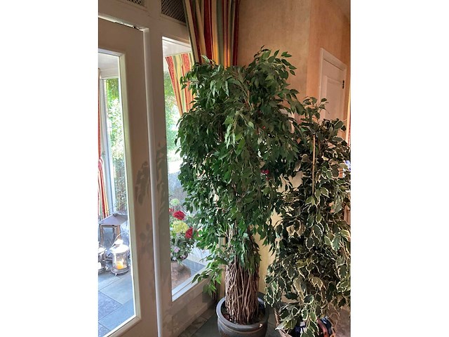Kunstplanten in pot (2x) - afbeelding 3 van  7