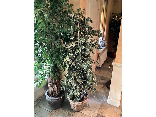 Kunstplanten in pot (2x) - afbeelding 4 van  7