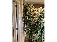 Kunstplanten in pot (2x) - afbeelding 3 van  5