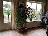 Kunstplanten in pot (2x) - afbeelding 1 van  6