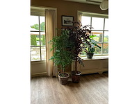 Kunstplanten in pot (2x) - afbeelding 2 van  6