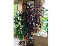 Kunstplanten in pot (2x) - afbeelding 4 van  6