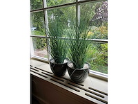 Kunstplanten in pot (2x) - afbeelding 2 van  5