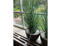 Kunstplanten in pot (2x) - afbeelding 3 van  5