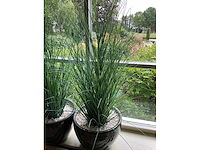 Kunstplanten in pot (2x) - afbeelding 4 van  5