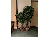 Kunstplanten in pot (2x) - afbeelding 2 van  5
