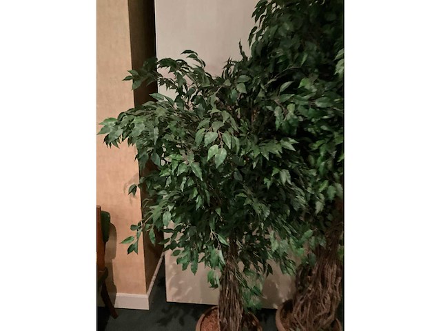 Kunstplanten in pot (2x) - afbeelding 3 van  5