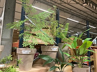 Kunstplanten in pot (6x) - afbeelding 2 van  5