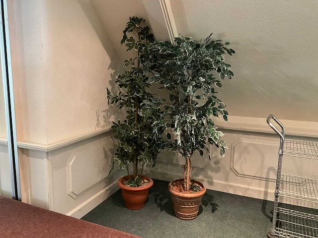 Kunstplanten in pot - afbeelding 1 van  5