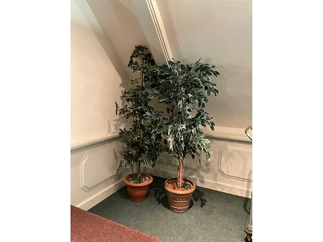 Kunstplanten in pot - afbeelding 2 van  5