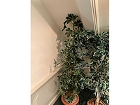 Kunstplanten in pot - afbeelding 3 van  5