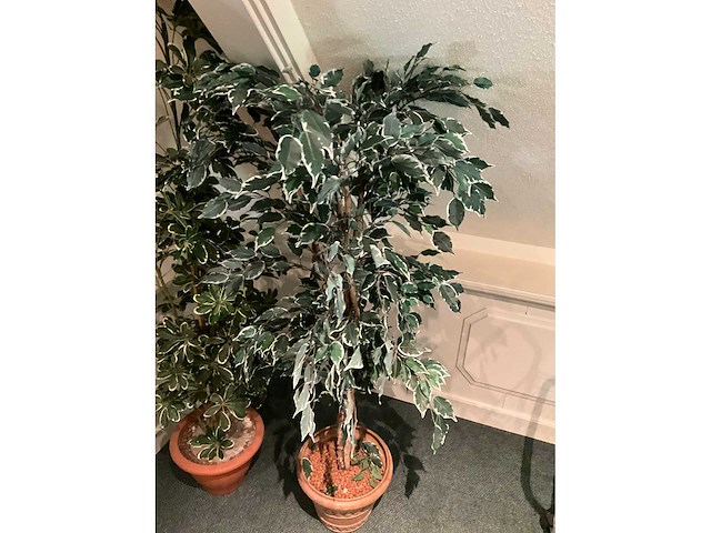 Kunstplanten in pot - afbeelding 4 van  5