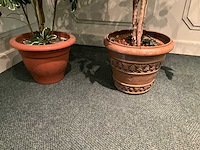 Kunstplanten in pot - afbeelding 5 van  5