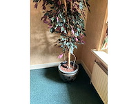 Kunstplanten in pot - afbeelding 3 van  4
