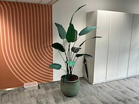 Kunstplanten met pot (2x)