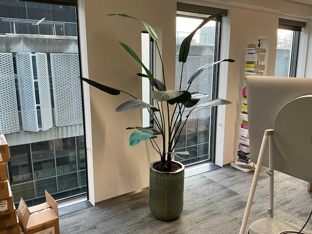 Kunstplanten met pot (2x) - afbeelding 5 van  8