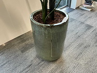 Kunstplanten met pot (2x) - afbeelding 6 van  8