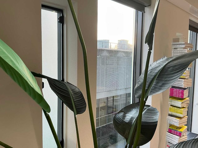 Kunstplanten met pot (2x) - afbeelding 8 van  8