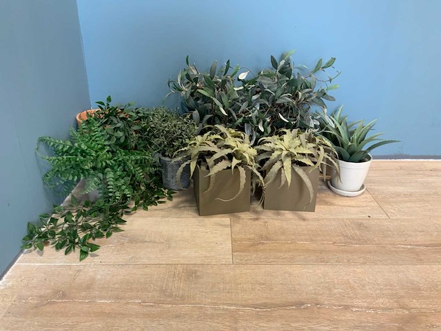 Kunstplanten - afbeelding 1 van  4