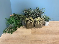 Kunstplanten - afbeelding 1 van  4