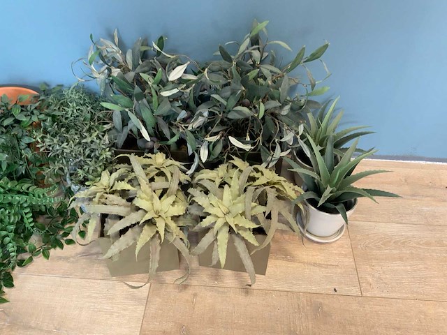 Kunstplanten - afbeelding 4 van  4