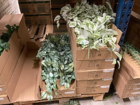 Kunstplanten - afbeelding 9 van  11