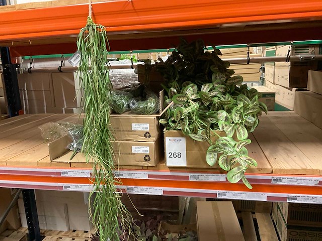 Kunstplanten - afbeelding 11 van  11