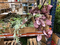Kunstplanten - afbeelding 4 van  16