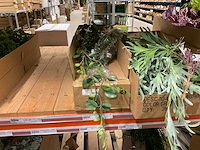 Kunstplanten - afbeelding 5 van  16