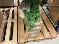 Kunstplanten - afbeelding 6 van  16