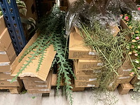 Kunstplanten - afbeelding 11 van  16