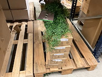 Kunstplanten - afbeelding 13 van  16