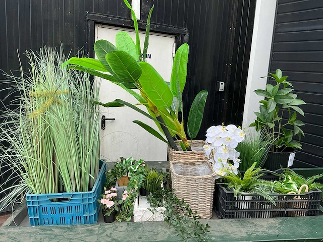 Kunstplanten - afbeelding 2 van  6