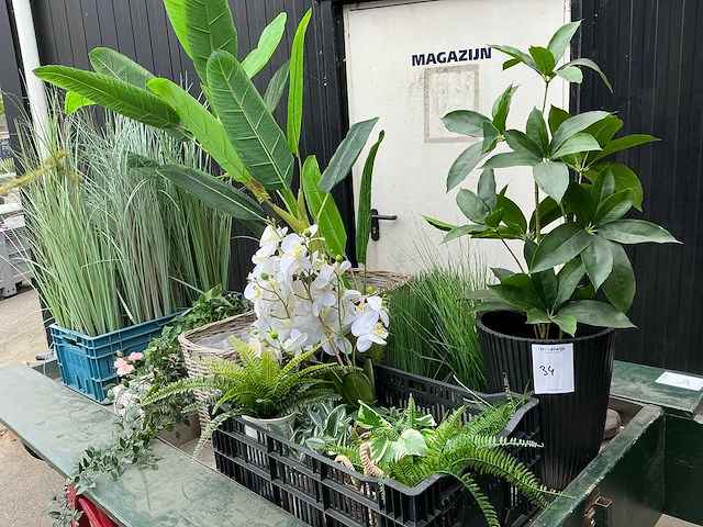 Kunstplanten - afbeelding 3 van  6