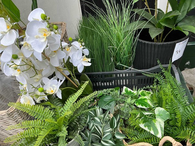 Kunstplanten - afbeelding 4 van  6