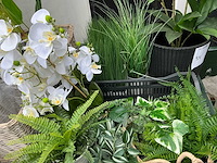 Kunstplanten - afbeelding 4 van  6