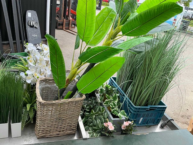 Kunstplanten - afbeelding 6 van  6