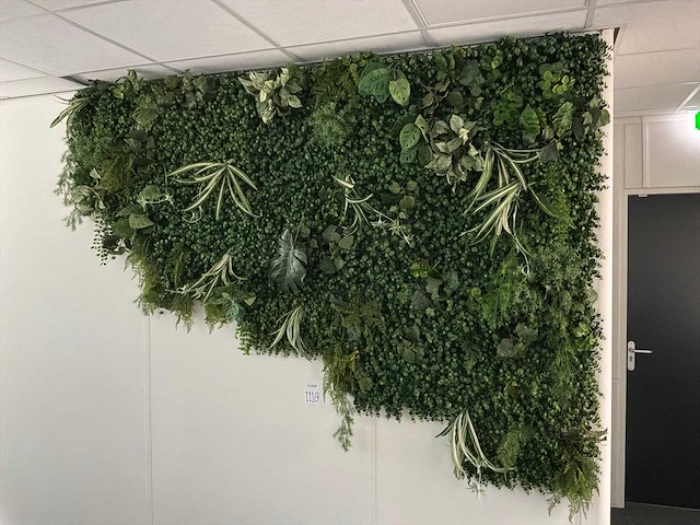Kunstplanten - afbeelding 1 van  6